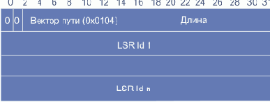 TLV вектора пути