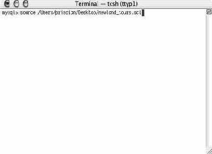 Установка и запуск MySQL для Mac OS X