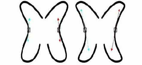 Help для CorelDRAW Х3 (часть 2)
