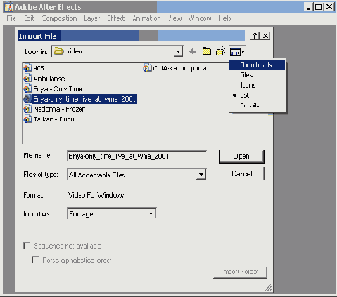   Adobe After Effect 6

