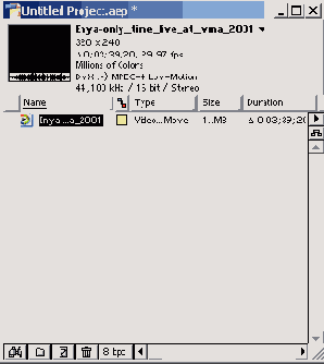   Adobe After Effect 6
