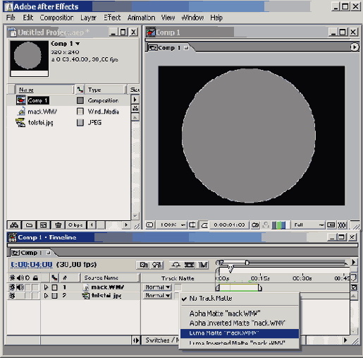   Adobe After Effect 6
