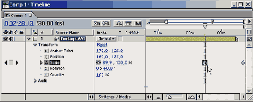   Adobe After Effect 6
