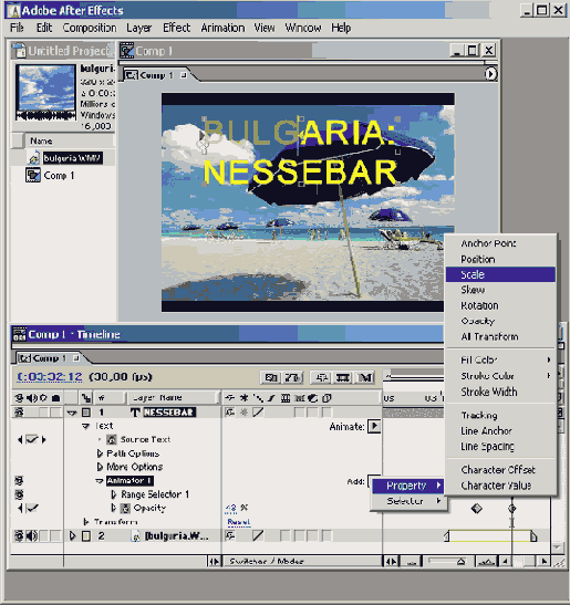   Adobe After Effect 6
<br>
