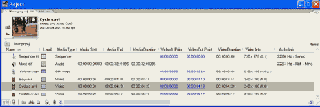 Adobe Premiere Pro 1.5
