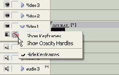 Adobe Premiere Pro 1.5
