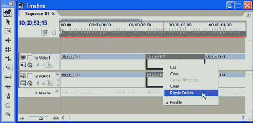 Adobe Premiere Pro 1.5
