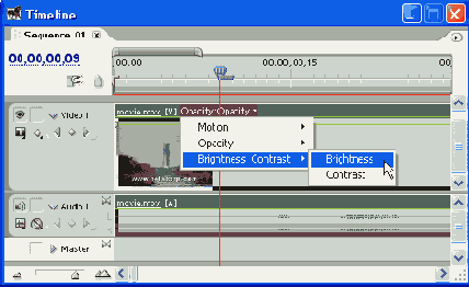 Adobe Premiere Pro 1.5
