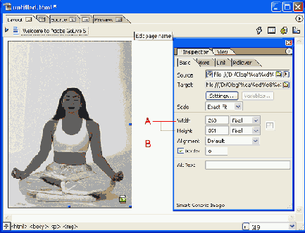 Пакет Adobe GoLive

