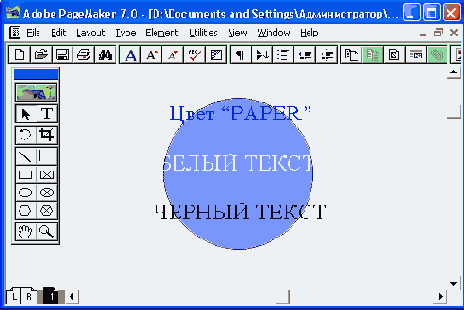   Adobe PageMaker